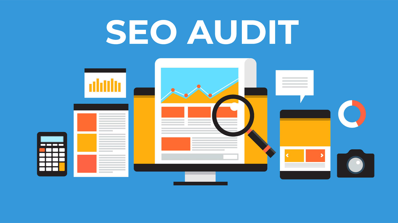 Seo Audit Website