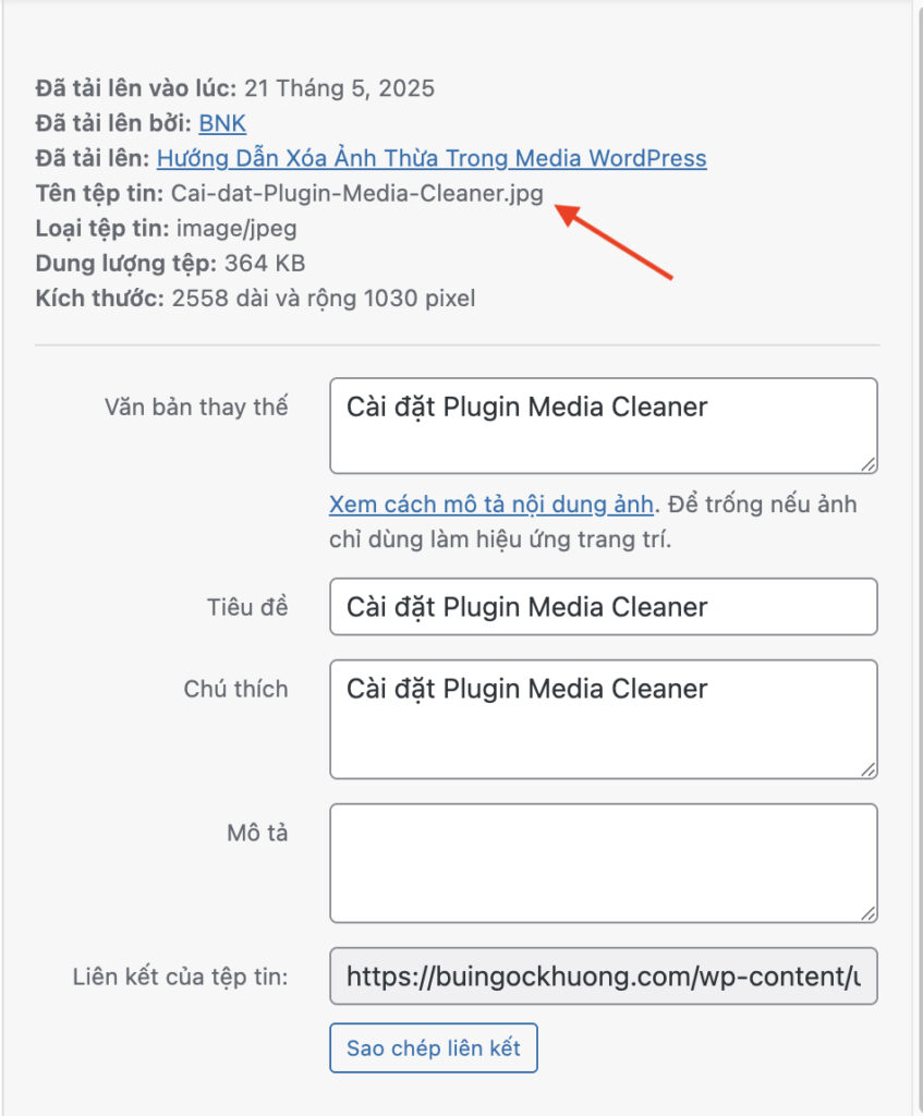 đường dẫn media